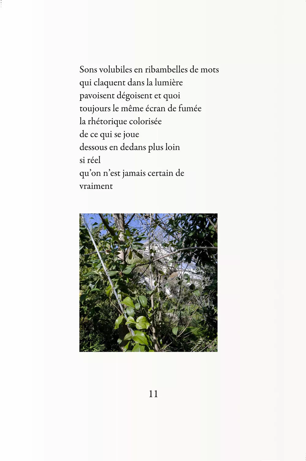 Livre de photos-poèmes avec A. Benedetto