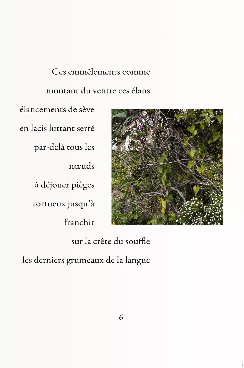 Livre de photos-poèmes avec A. Benedetto