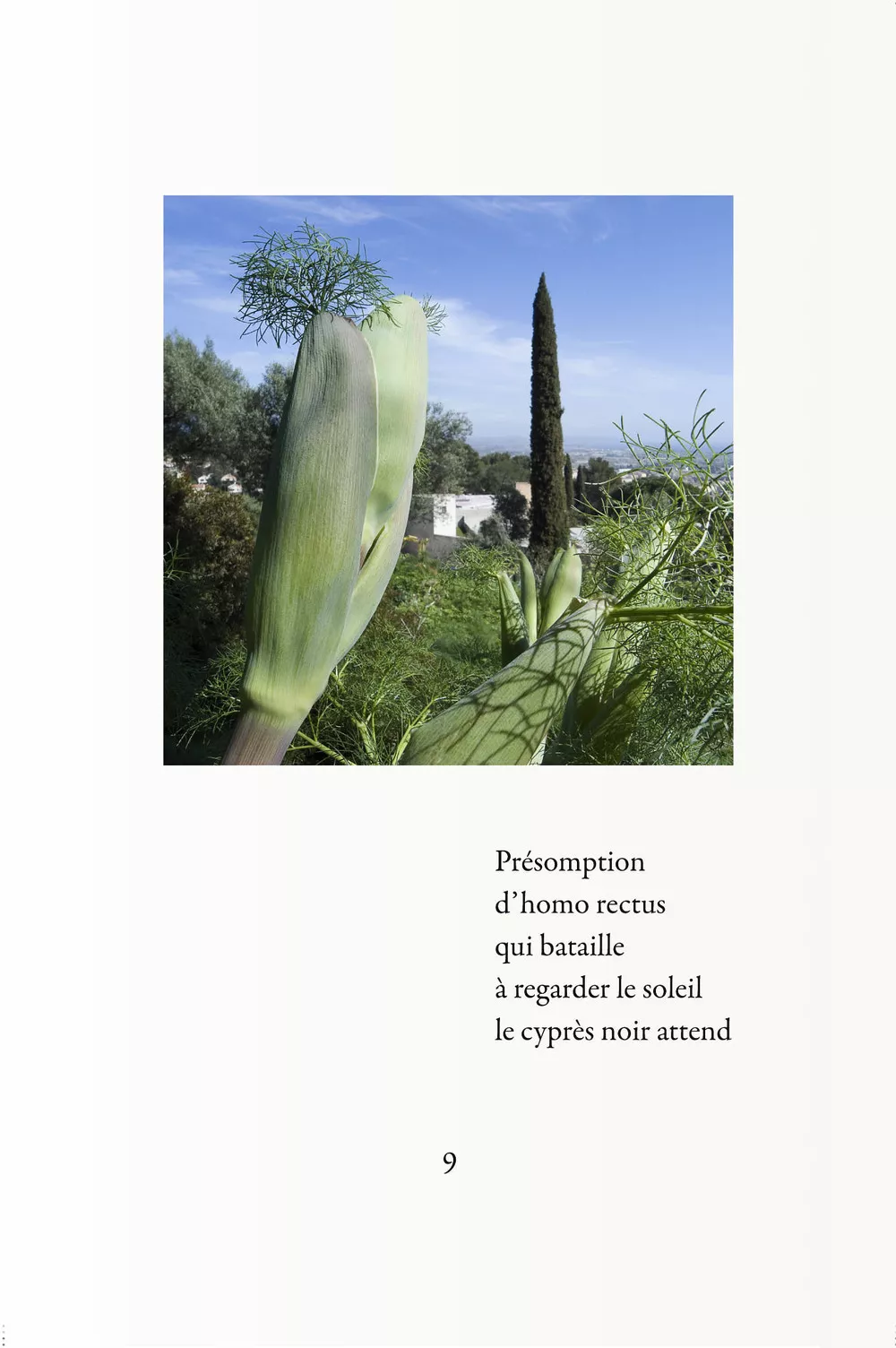 Livre de photos-poèmes avec A. Benedetto
