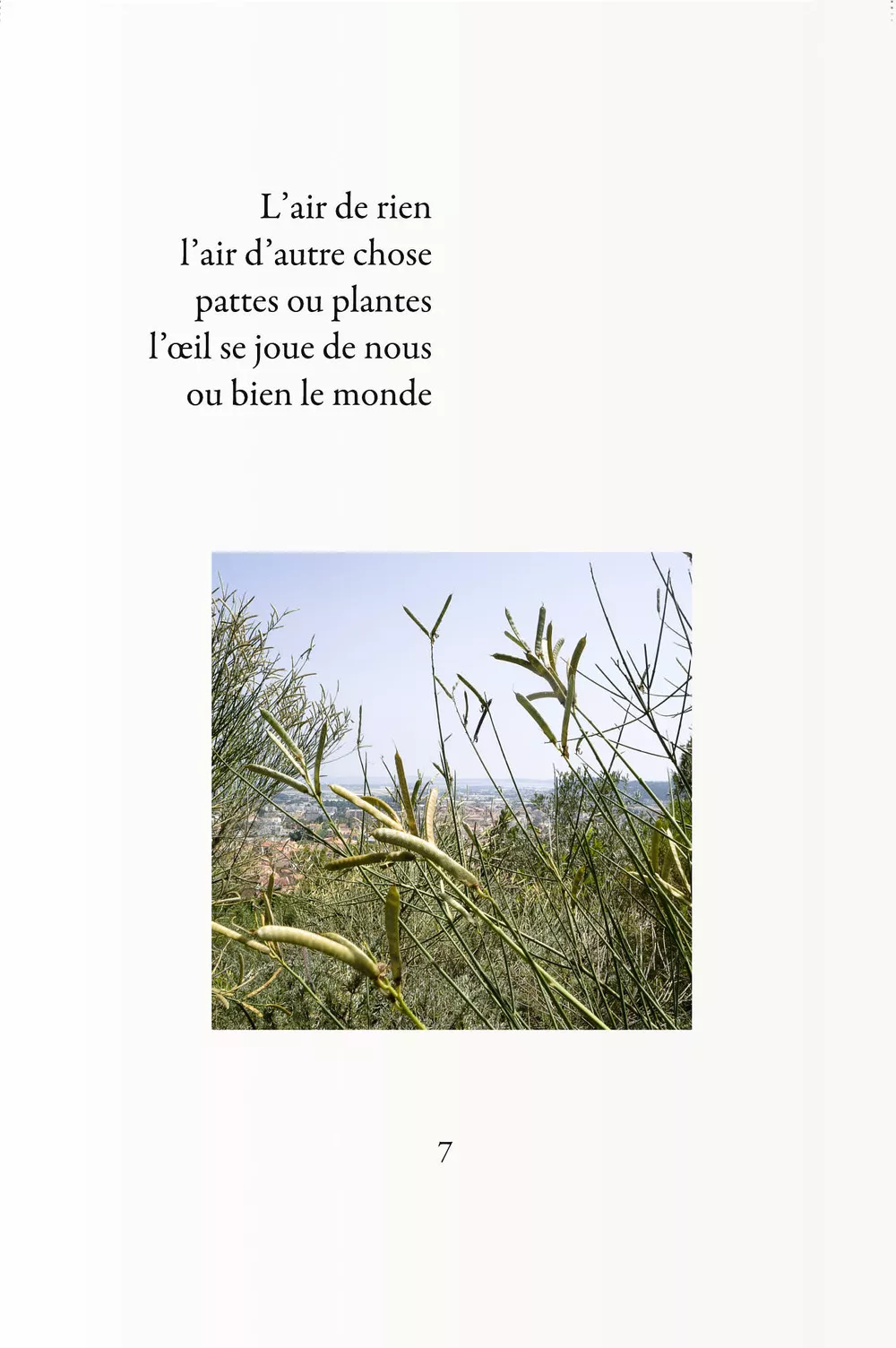 Livre de photos-poèmes avec A. Benedetto