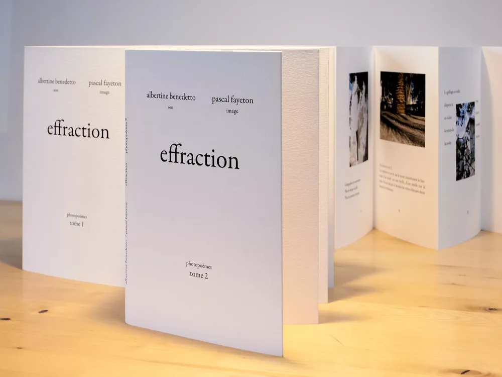 Livre de photos-poèmes avec A. Benedetto