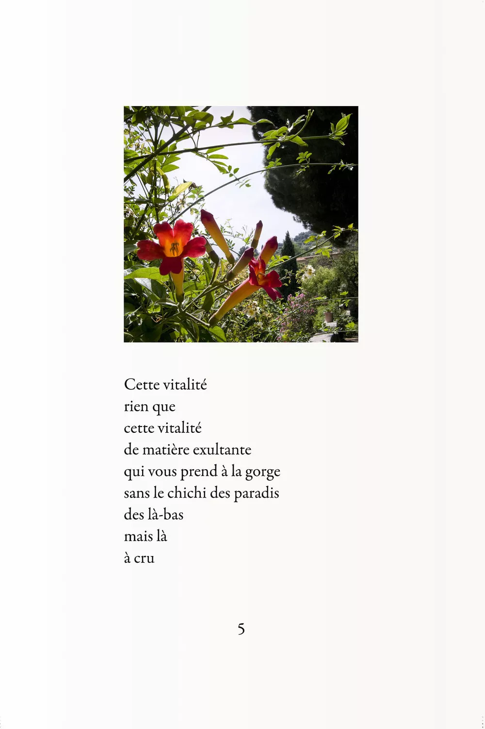 Livre de photos-poèmes avec A. Benedetto
