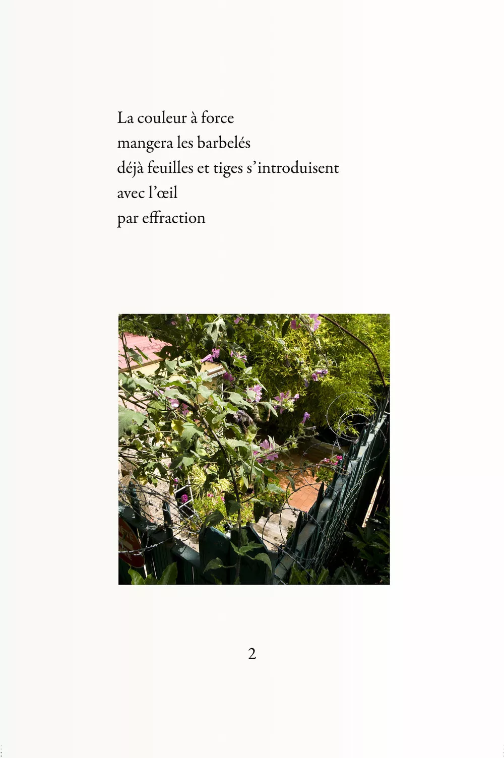 Livre de photos-poèmes avec A. Benedetto