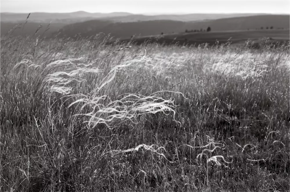 Encres de Giens, 2013